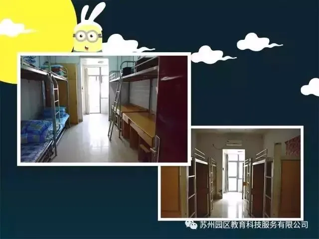 报考篮球训练师_2
